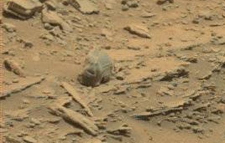 Видео дня: на Марсе обнаружен череп «чужого»