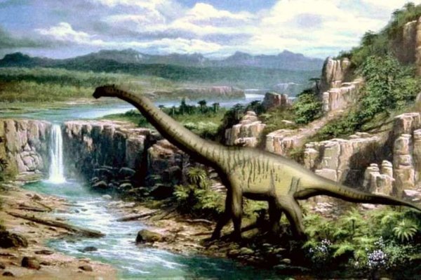 Ученые нашли в музее Франции останки крупнейшего динозавра Европы