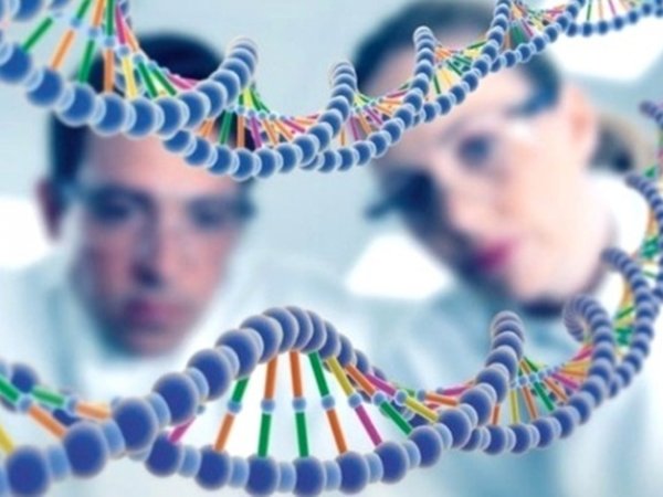 В ближайшие пять лет ученые создадут синтетическую ДНК человека