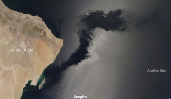 В Аравийском море исследователей ужаснули щупальца чудовища