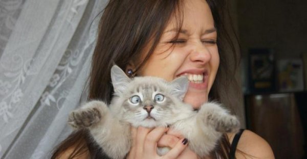 Ученые рассказали, почему не стоит обниматься с котами