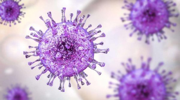 Ученые: Гигантские вирусы крадут гены, чтобы имитировать жизнь