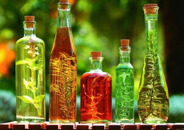 Ученые: Растительные масла могут нанести вред организму