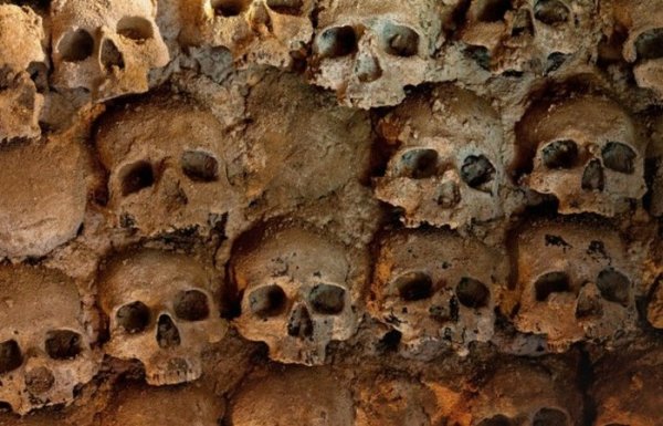 Археологи шокировали данными о жертвоприношениях в Китае‍