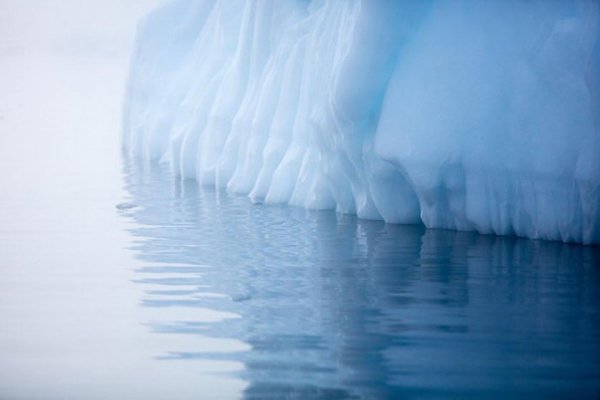 Российские ученые называют сенсацию с отколовшимся айсбергом фейковой