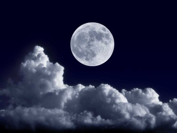 Ученые считают Луну искусственным спутником Земли