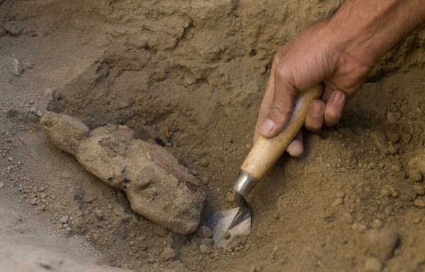 Ученые нашли в Азербайджане две тысячи вещей эпохи неолита