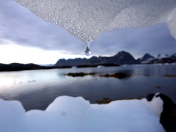 Ученые: Глобальное потепление займет на Земле миллионы лет