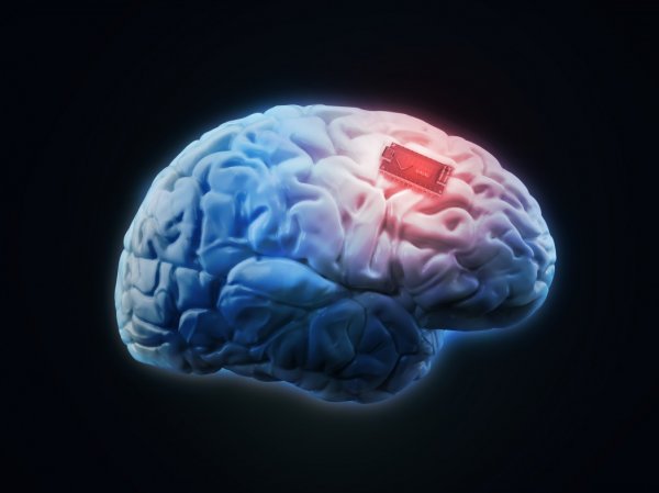 Ученые Гарварда тестируют новые имплантаты для головного мозга