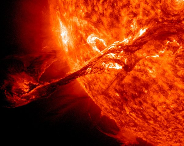 Мощные вспышки на Солнце приведут к образованию «супервспышки»: На Земле могут исчезнуть целые виды животных