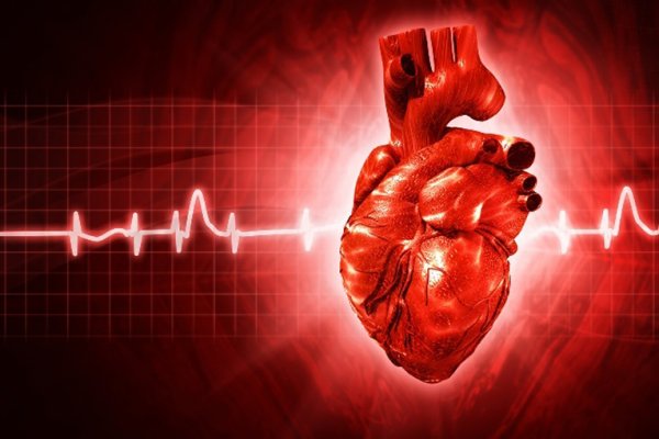 Ученые: Идеальное искусственное сердце не должно стучать