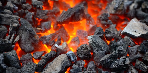 Ученые: Уголь является причиной конца пермского периода