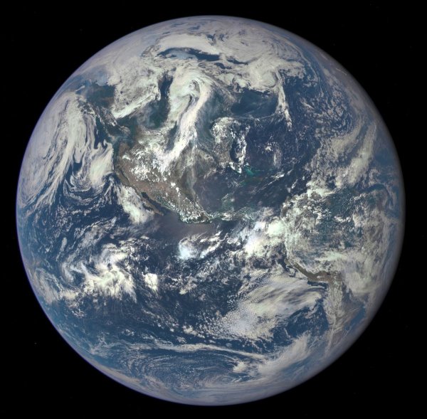 «Плоская» Земля набирает обороты: Почему у странной теории появляются новые поклонники?