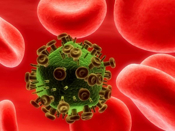 Ученые создали иммунные клетки, способные победить ВИЧ