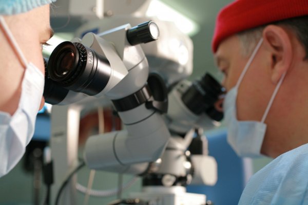 Немецкие учёные испытали роботизированный микроскоп за 134,5 млн рублей