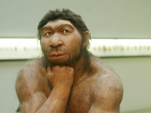 Ученые: Тяга к курению появилась у современного человека от неандертальцев