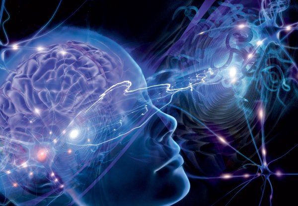 Ученые: Мозг под гипнозом теряет способность считать