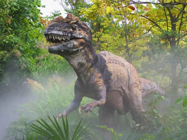 Ученые сообщили о любви динозавров общаться и прижиматься друг к другу