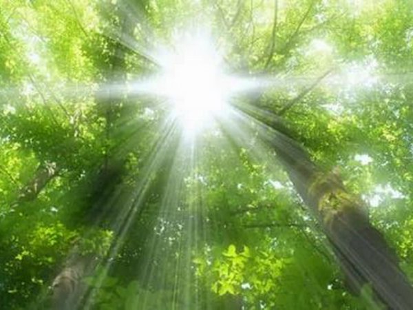 Солнечный свет стал ярче для человеческого глаза: Что значит свет небесного светила для нашего организма?