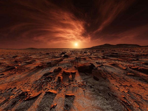 На Марсе обнаружен гигантский сперматозоид: НЛО или оптический дефект?