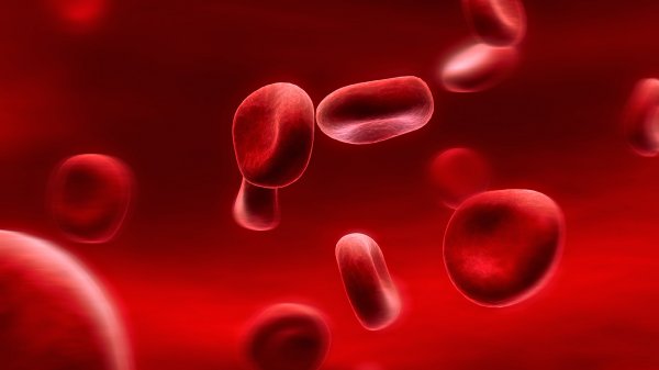 Ученые нашли ведущую молекулу в крови