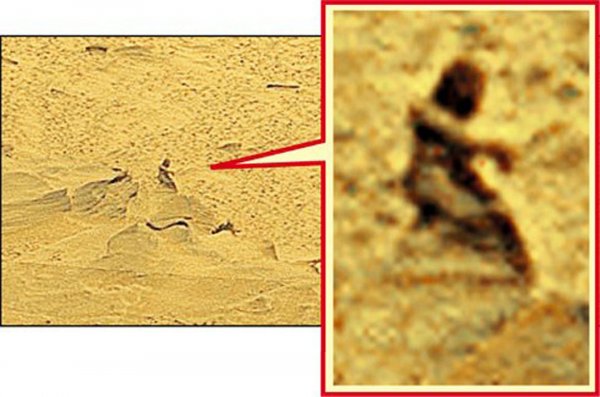 Уфолог Уоринг нашёл на Марсе бутылку и скульптуру крокодила: Ритуальный объект или предмет декора?