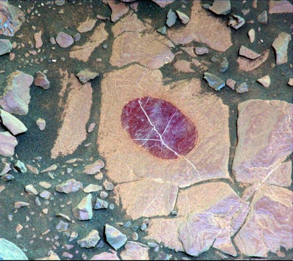 В NASA раскрыли тайну образования фиолетовых пятен под пылью Марса