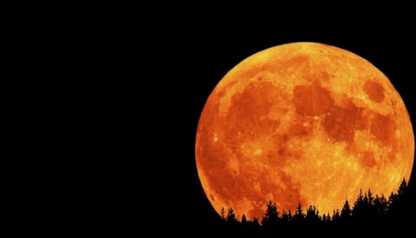 Языческие обряды и аномальные явления: Ученые сообщили о завтрашнем приближении Луны к поверхности Земли