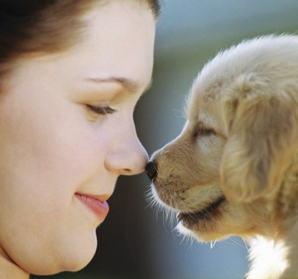 Люди проявляют больше сочувствия собакам, чем другим людям