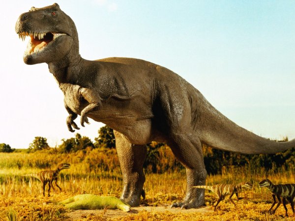 Ученые раскрыли неожиданные обстоятельства вымирания динозавров