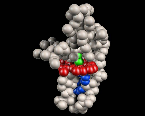 Ученые нашли структуру белка для оптогенетики