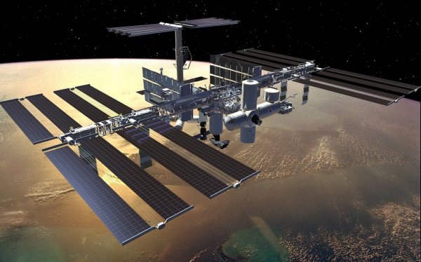 Роскосмос готовит к отправке на орбиту первого космонавта из ОАЭ