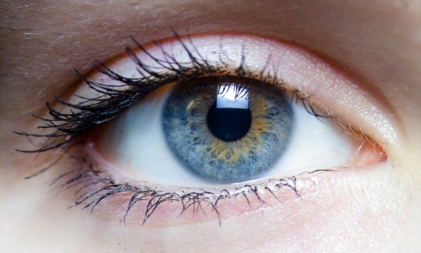Учёные выяснили, что чаще всего вызывает потерю зрения