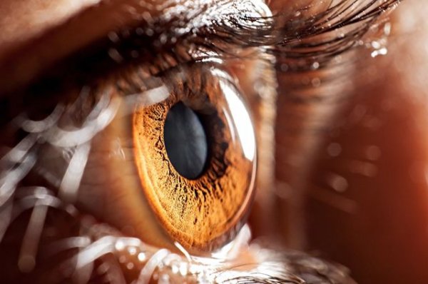 Ученые: Умный клей для глазных яблок спасет пациентов от слепоты