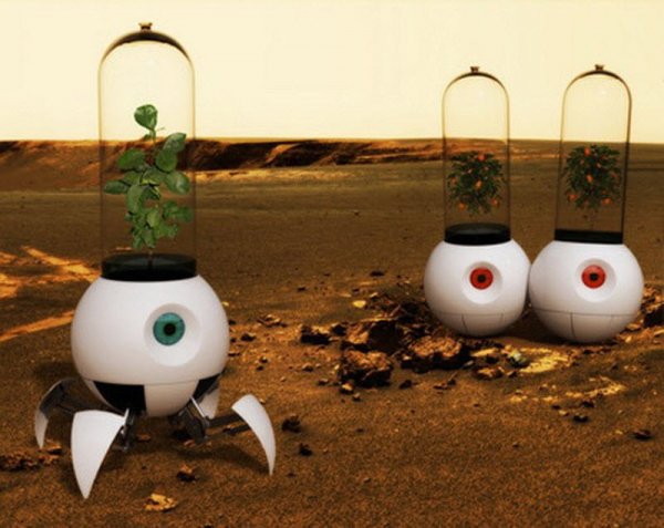 Ученые ОАЭ хотят на Марсе высадить клубнику, помидоры и пальмы