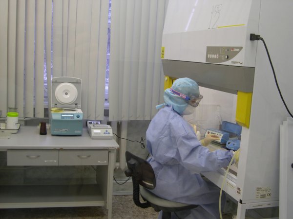 Власти США позволили возобновить эксперименты со смертельными вирусами